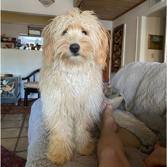 Meet your Posher, Adrienne - Picture 10 of 16